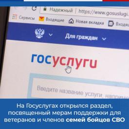 На Госуслугах открыт раздел для участников спецоперации